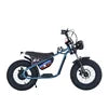 OEM E KIDS Bike 16 Inch Kids Electric Dirt Bike Small Motor Power 36V350W Electric Retro Bike for Kids