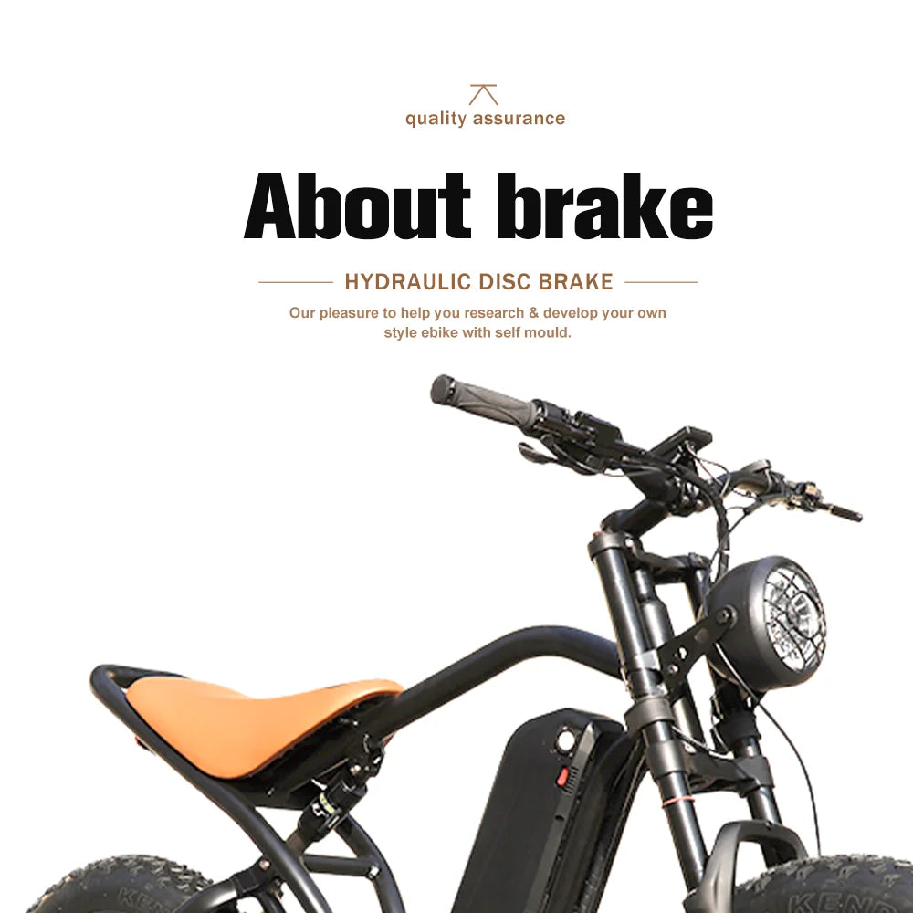 Electric Bike 48 V 750W 1000W Electric Bike 20 Inch Fat Electric Bicycle Aluminum Alloy E-bike Bike