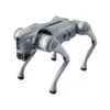 Unitree Go2 Robot Dog | Quadruped Robotics for Adults Embodied AI