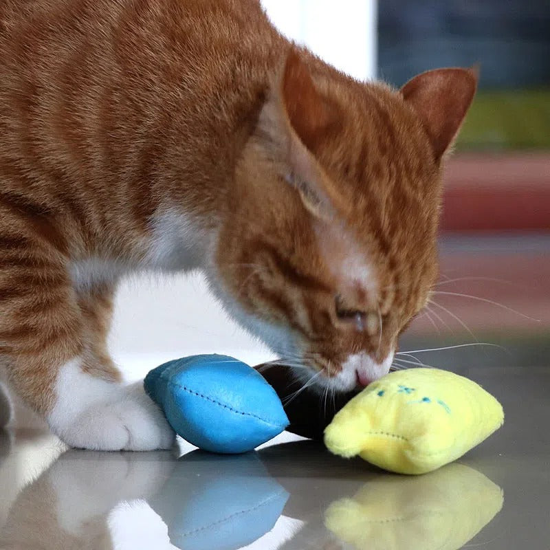 [1pc Squeaky Cat Toy] 1pc Interactive Cat Teaser Toy | Cat Design Containing Squeaky Plush Pillow Toy | Interactive Pet Supply
