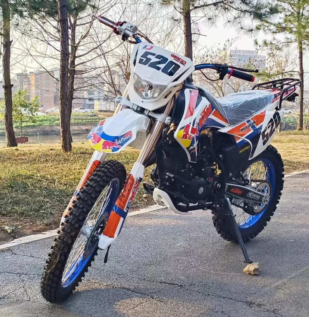 Cross-Border 250CC/300CC New Model Electric Off-Road Dirt Bike for Adults Two-Wheel Racing Disc Brake Brushless Kick Start Chain