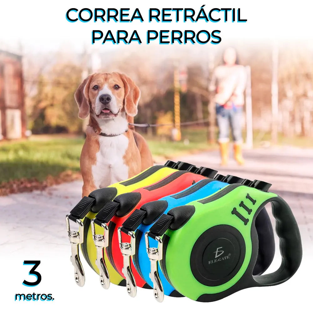 Medium 3mts Retractable Dog Harness with Quick Release Feature Personalized Plastic Leash Solid & Printed Pattern Free Sample