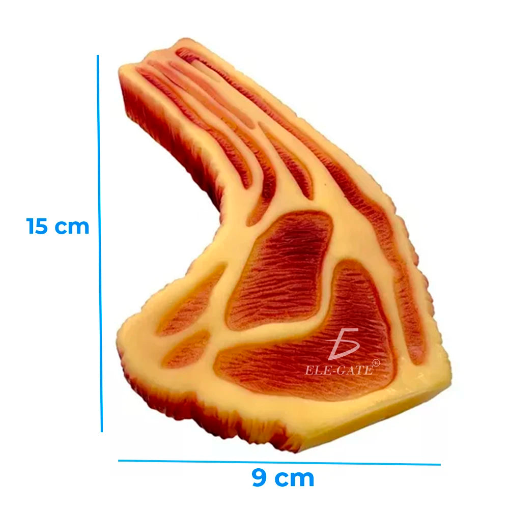 ELE-GATE Eco-Friendly Squeaky Durable Plastic Pet Chew Toys Interactive Indoor Use Solid Pattern Medium Dog Play Luxury Random