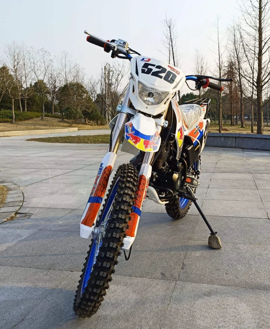 Cross-Border 250CC/300CC New Model Electric Off-Road Dirt Bike for Adults Two-Wheel Racing Disc Brake Brushless Kick Start Chain