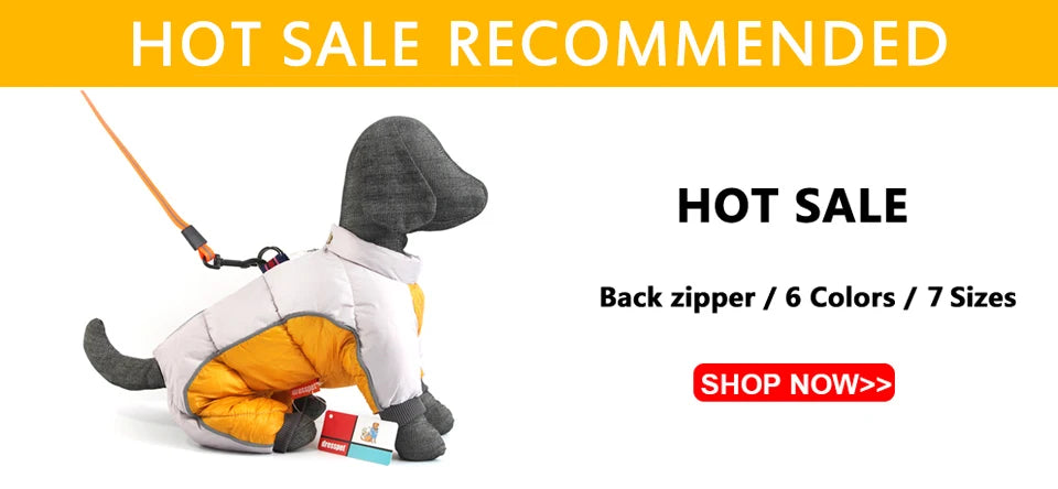 Winter Pet Dog Clothes Warm For Small Dogs Pets Puppy Costume French Bulldog Outfit Coat Waterproof Jacket Chihuahua Clothing