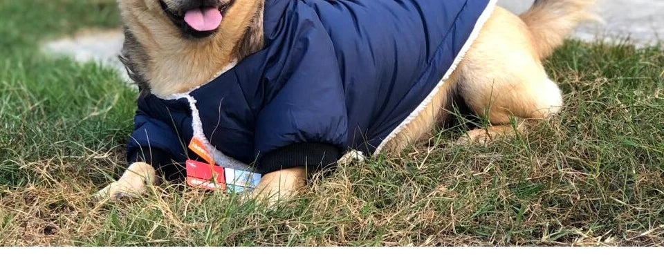 Winter Pet Dog Clothes Warm For Small Dogs Pets Puppy Costume French Bulldog Outfit Coat Waterproof Jacket Chihuahua Clothing