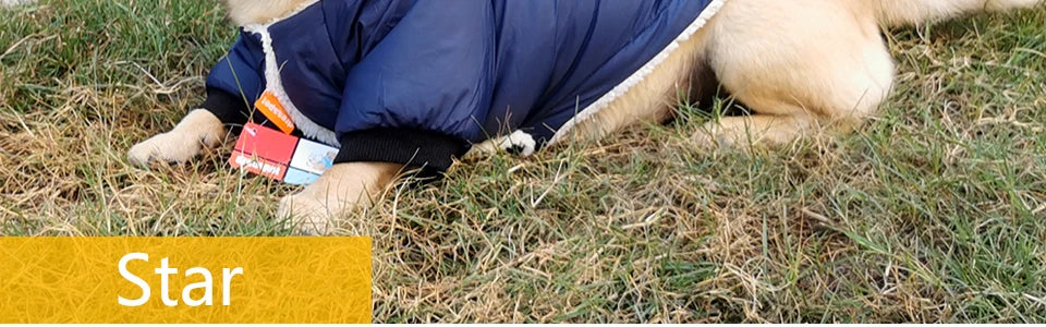 Winter Pet Dog Clothes Warm For Small Dogs Pets Puppy Costume French Bulldog Outfit Coat Waterproof Jacket Chihuahua Clothing