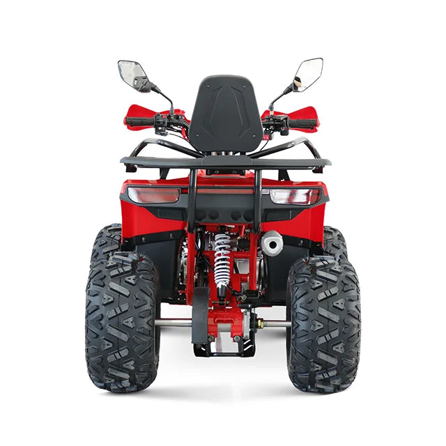 TLMOTO125CC 1000W 4-Stroke Gasoline ATV Automatic Chain Drive 4-Wheeler UTV with Differential Lock for Off-Road Motorcycling