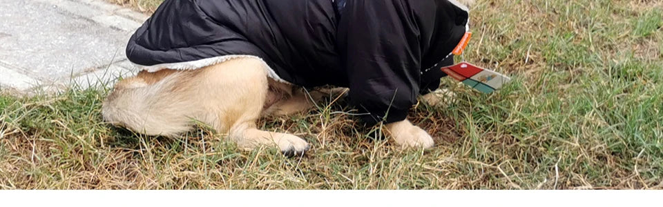 Winter Pet Dog Clothes Warm For Small Dogs Pets Puppy Costume French Bulldog Outfit Coat Waterproof Jacket Chihuahua Clothing