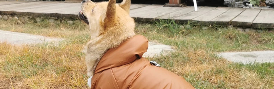 Winter Pet Dog Clothes Warm For Small Dogs Pets Puppy Costume French Bulldog Outfit Coat Waterproof Jacket Chihuahua Clothing