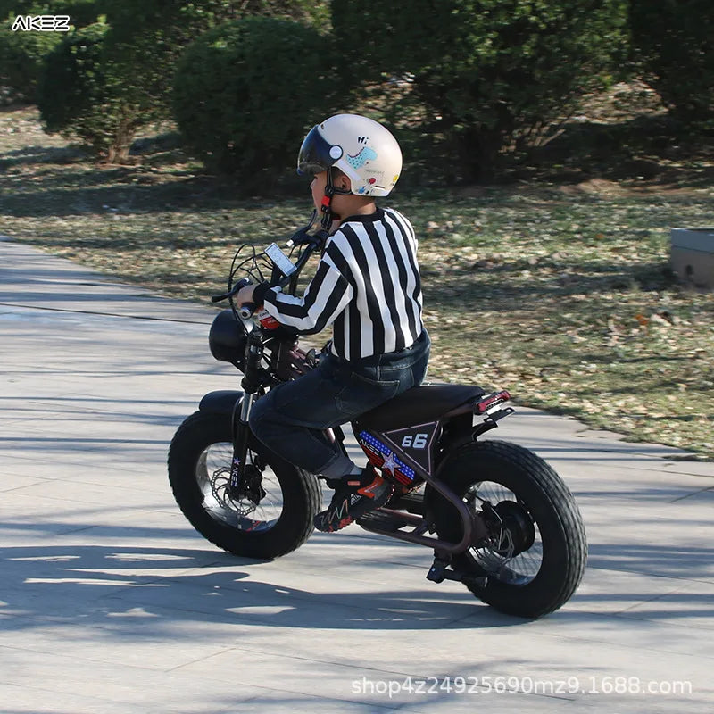 OEM E KIDS Bike 16 Inch Kids Electric Dirt Bike Small Motor Power 36V350W Electric Retro Bike for Kids