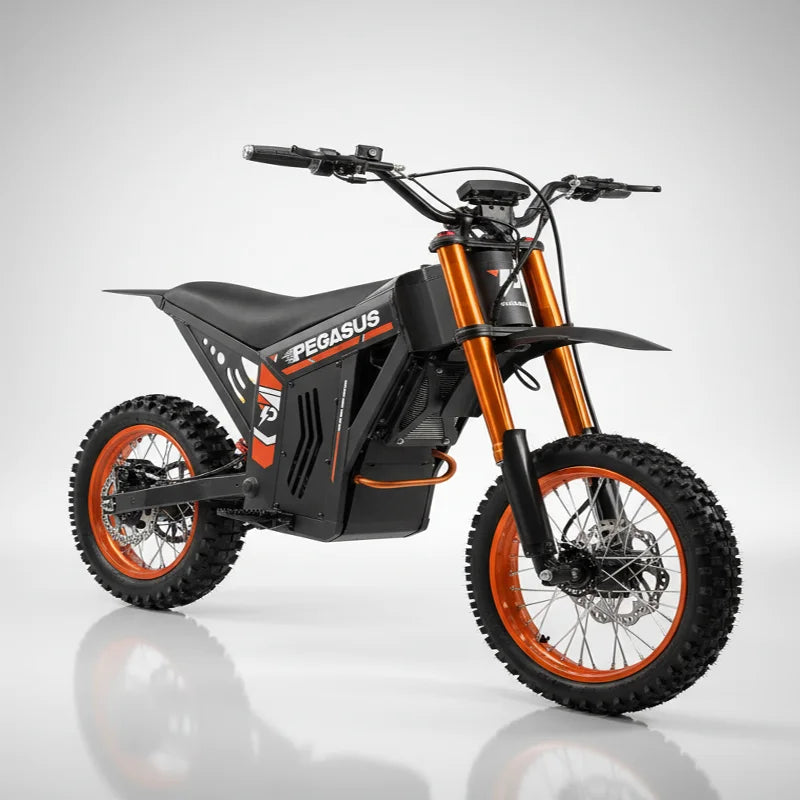 2000W Brushless Electric Dirt Bike 48V Lithium Battery Off-Road Motorcycle up to 60km/h