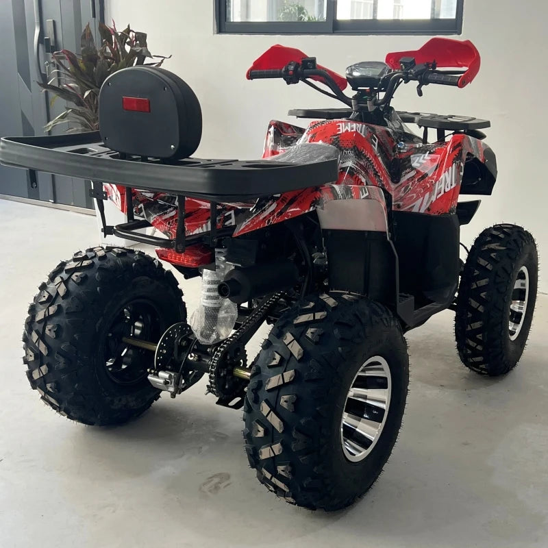 200cc 4-Stroke Automatic 2WD Gas/Diesel Quad Bike ATV with Over 1000W Power for Adults