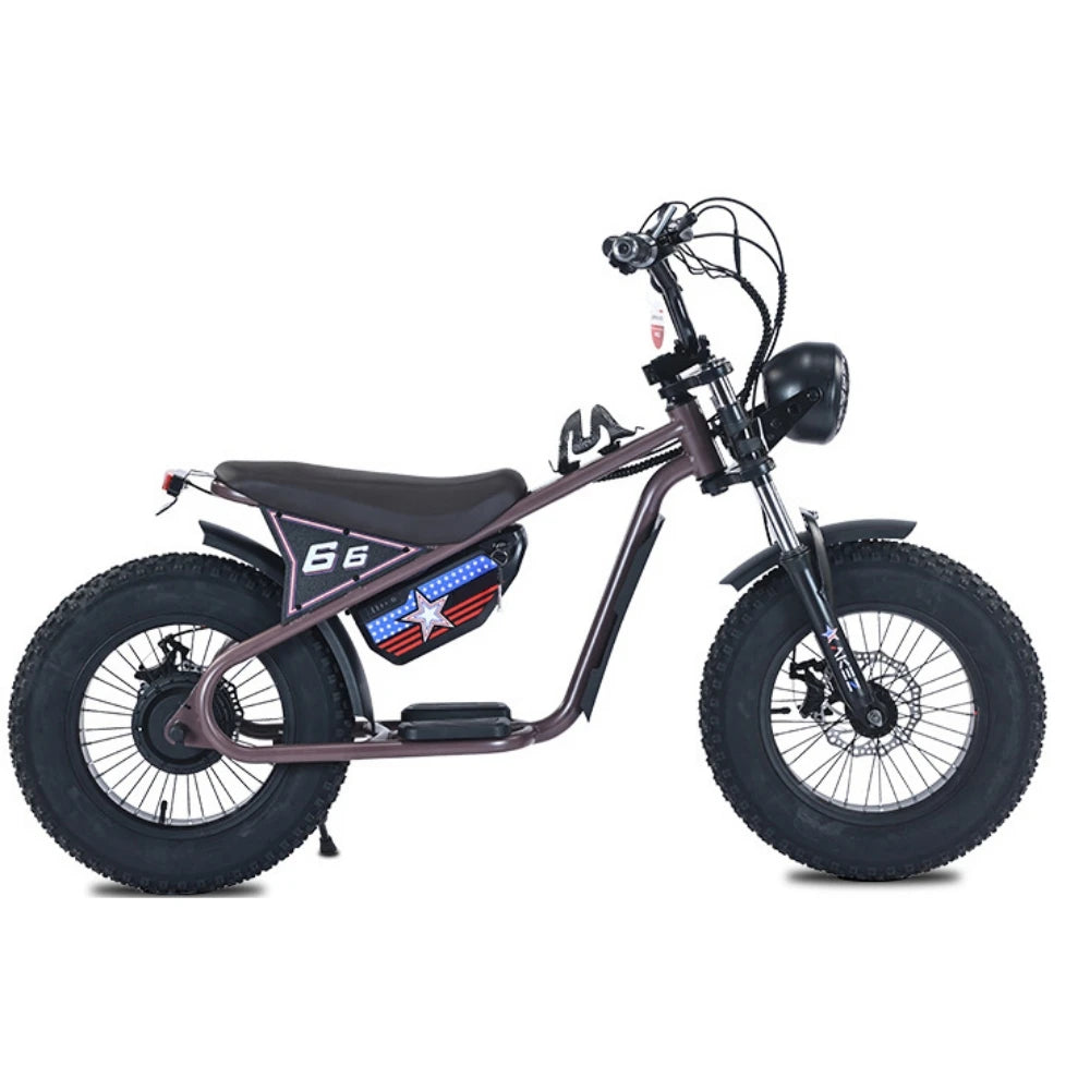 OEM E KIDS Bike 16 Inch Kids Electric Dirt Bike Small Motor Power 36V350W Electric Retro Bike for Kids