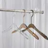 Transparent Wholesale Coat Skirt Matte Hanger Acrylic Clothes Hanger with Gold Hooks