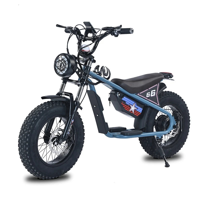 OEM E KIDS Bike 16 Inch Kids Electric Dirt Bike Small Motor Power 36V350W Electric Retro Bike for Kids
