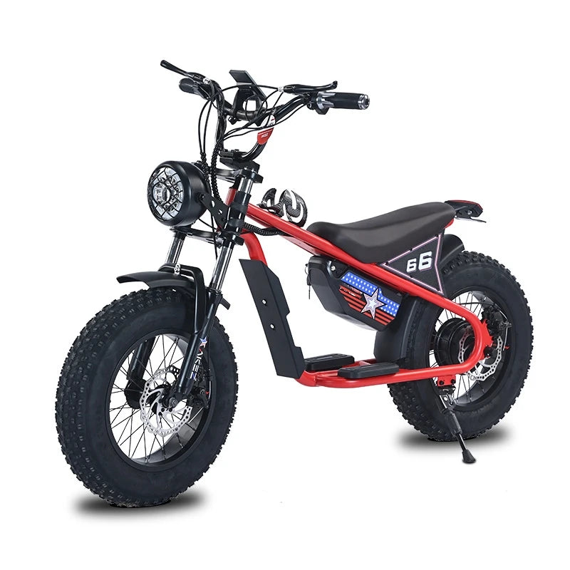 OEM E KIDS Bike 16 Inch Kids Electric Dirt Bike Small Motor Power 36V350W Electric Retro Bike for Kids