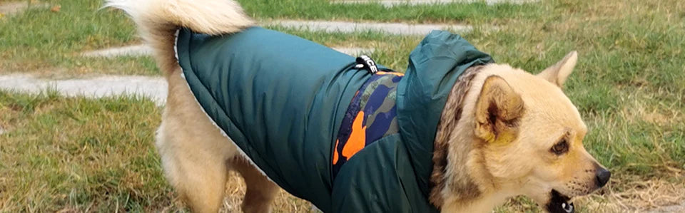Winter Pet Dog Clothes Warm For Small Dogs Pets Puppy Costume French Bulldog Outfit Coat Waterproof Jacket Chihuahua Clothing