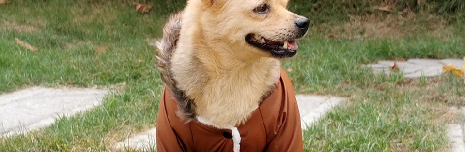 Winter Pet Dog Clothes Warm For Small Dogs Pets Puppy Costume French Bulldog Outfit Coat Waterproof Jacket Chihuahua Clothing