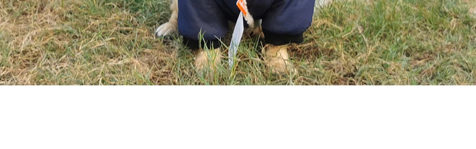 Winter Pet Dog Clothes Warm For Small Dogs Pets Puppy Costume French Bulldog Outfit Coat Waterproof Jacket Chihuahua Clothing