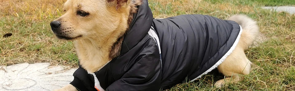Winter Pet Dog Clothes Warm For Small Dogs Pets Puppy Costume French Bulldog Outfit Coat Waterproof Jacket Chihuahua Clothing