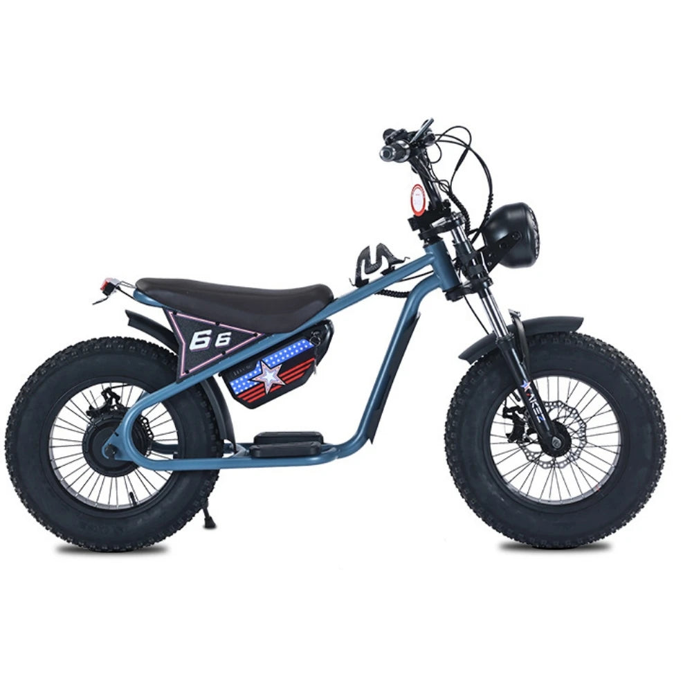 OEM E KIDS Bike 16 Inch Kids Electric Dirt Bike Small Motor Power 36V350W Electric Retro Bike for Kids