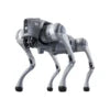 Unitree Go2 Robot Dog | Quadruped Robotics for Adults Embodied AI