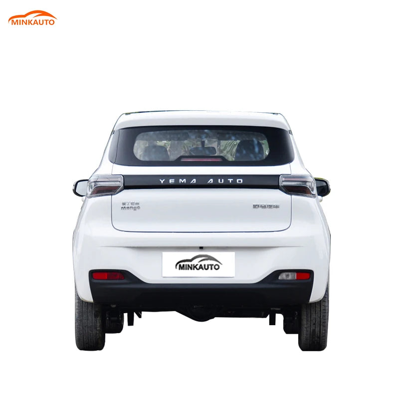 China Long Range  Large Space Adults Suv New Electric Ev Car Levdeo Letin mango for Sale