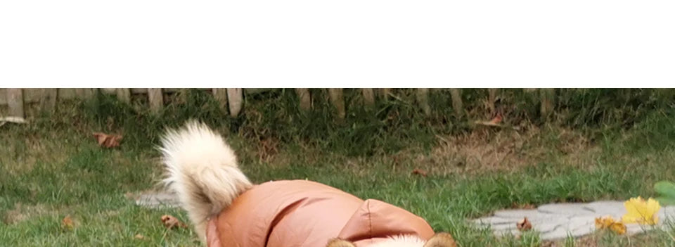 Winter Pet Dog Clothes Warm For Small Dogs Pets Puppy Costume French Bulldog Outfit Coat Waterproof Jacket Chihuahua Clothing