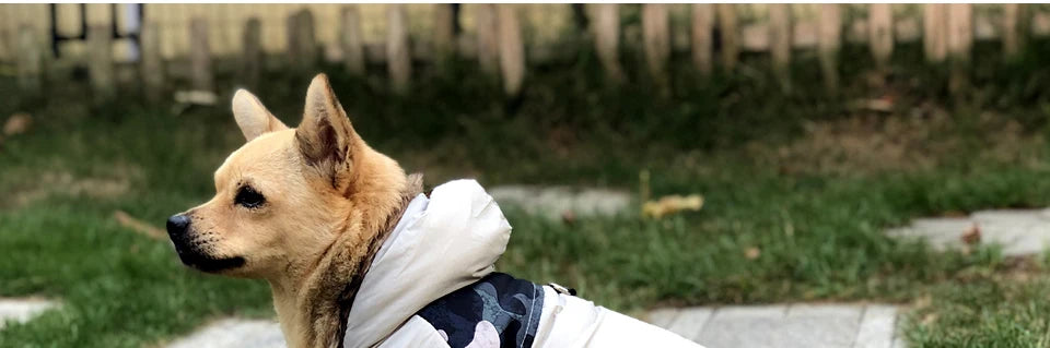 Winter Pet Dog Clothes Warm For Small Dogs Pets Puppy Costume French Bulldog Outfit Coat Waterproof Jacket Chihuahua Clothing