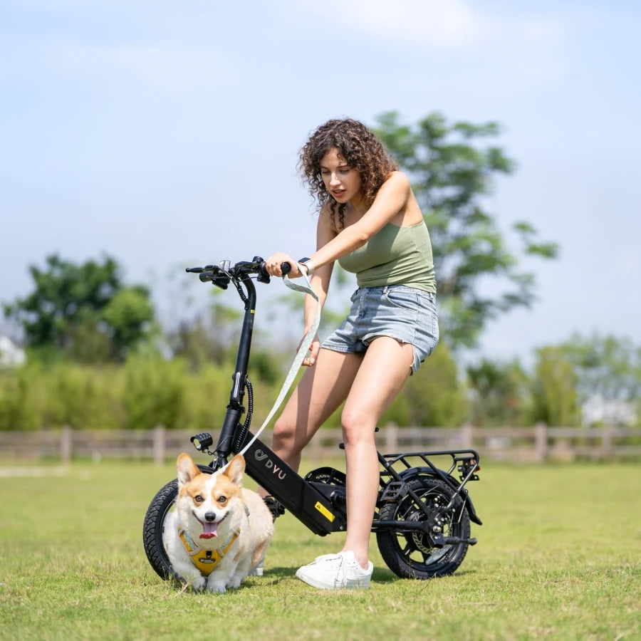 Hot 36V Electric Hybrid Bike for Adults Stylish 3-Speed Foldable Mini Dirt City Velo Electrique Lithium Battery Power for Ladies