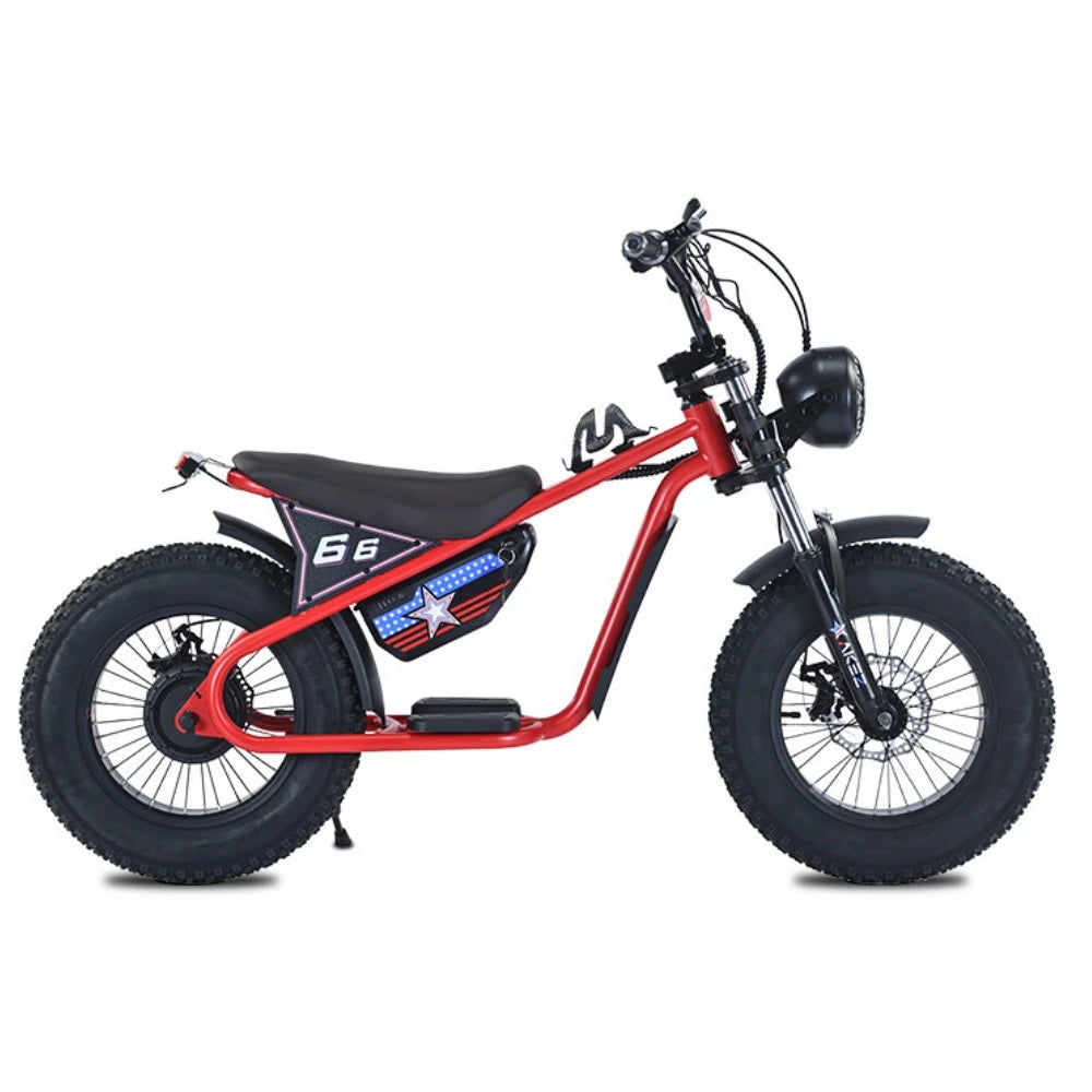 OEM E KIDS Bike 16 Inch Kids Electric Dirt Bike Small Motor Power 36V350W Electric Retro Bike for Kids