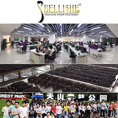 Bellishe 15A Grade Body Wave Peruvian Brazilian Vendors Wholesale Virgin Indian Vietnamese Human Hair Bundles Raw Hair Bundles