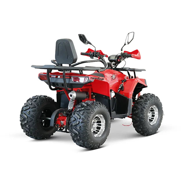 TLMOTO125CC 1000W 4-Stroke Gasoline ATV Automatic Chain Drive 4-Wheeler UTV with Differential Lock for Off-Road Motorcycling