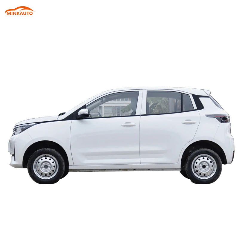 China Long Range  Large Space Adults Suv New Electric Ev Car Levdeo Letin mango for Sale