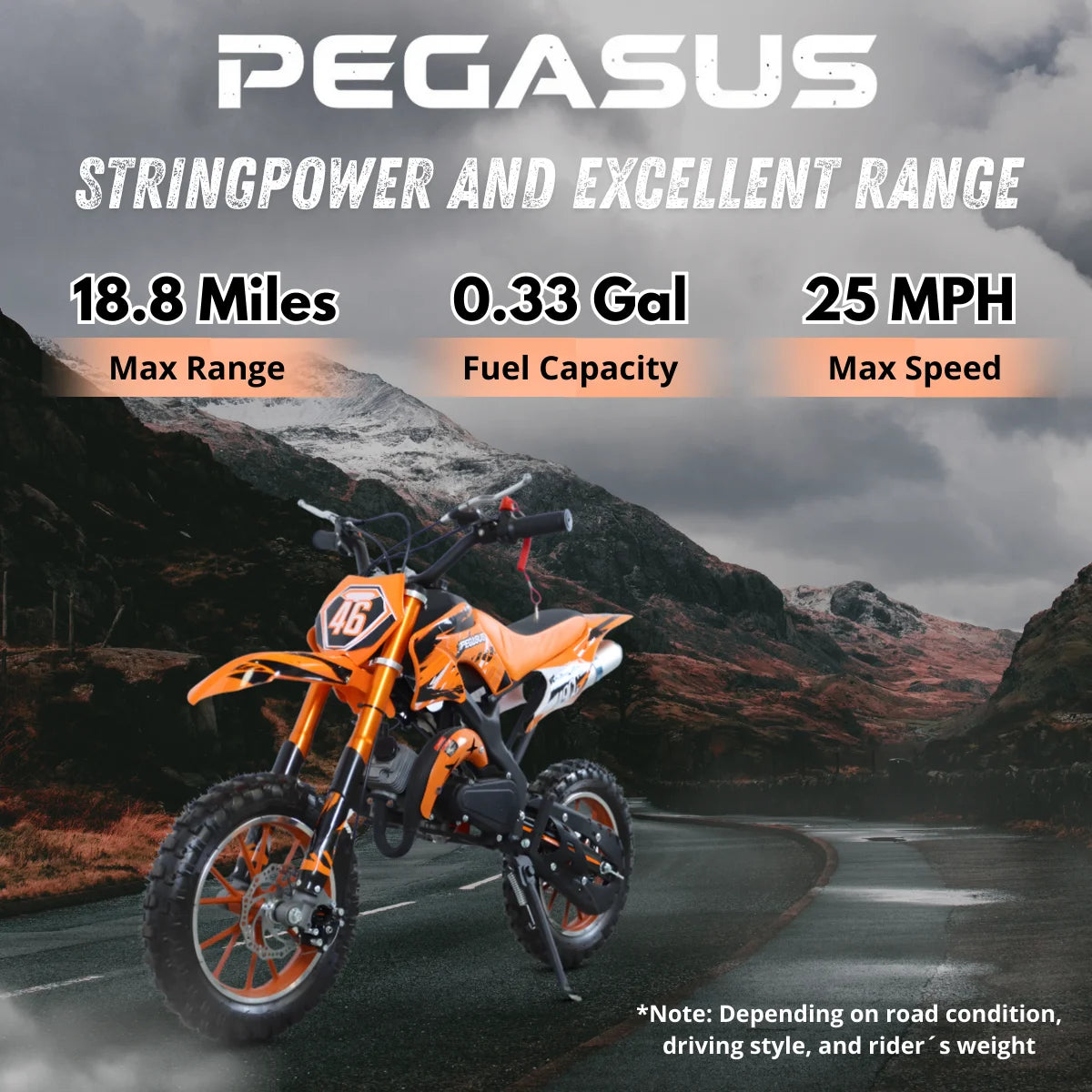 Pegasus Hot Kids 49cc Motorcycle Maximum Speed 40km/h Mini Dirt Bike Motocross 2 Stroke Kids Motorbike