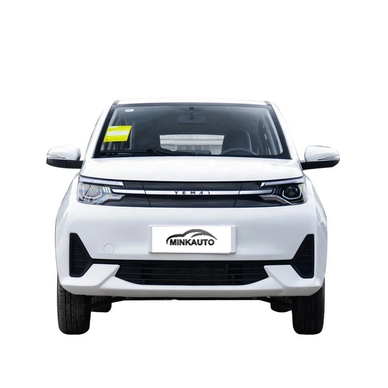 China Long Range  Large Space Adults Suv New Electric Ev Car Levdeo Letin mango for Sale