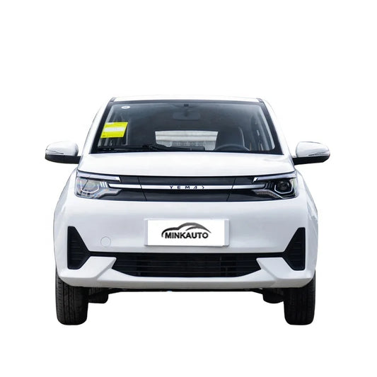 China Long Range  Large Space Adults Suv New Electric Ev Car Levdeo Letin mango for Sale