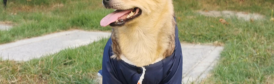 Winter Pet Dog Clothes Warm For Small Dogs Pets Puppy Costume French Bulldog Outfit Coat Waterproof Jacket Chihuahua Clothing