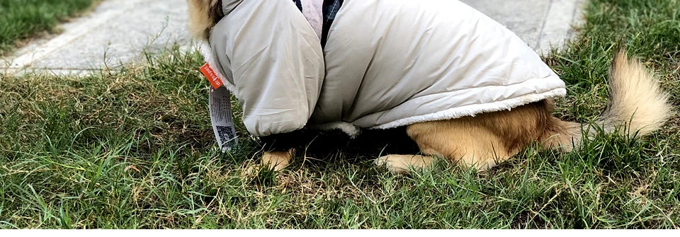Winter Pet Dog Clothes Warm For Small Dogs Pets Puppy Costume French Bulldog Outfit Coat Waterproof Jacket Chihuahua Clothing
