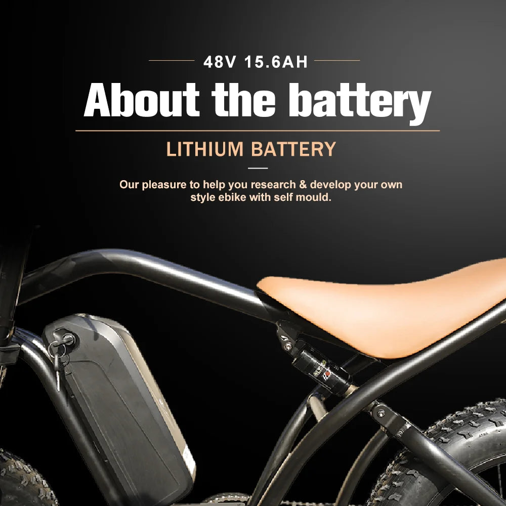 Electric Bike 48 V 750W 1000W Electric Bike 20 Inch Fat Electric Bicycle Aluminum Alloy E-bike Bike