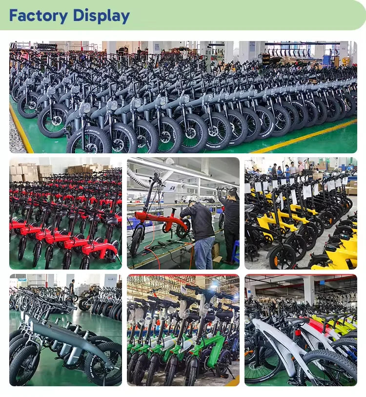 2025 NEW Q3 E-bicycle Bikes Mountain E-bike 20inch Fat Tire Fatbike 750w Ebike Bicycle Electrica Electric City Bike for Sale
