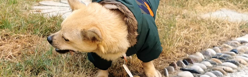 Winter Pet Dog Clothes Warm For Small Dogs Pets Puppy Costume French Bulldog Outfit Coat Waterproof Jacket Chihuahua Clothing
