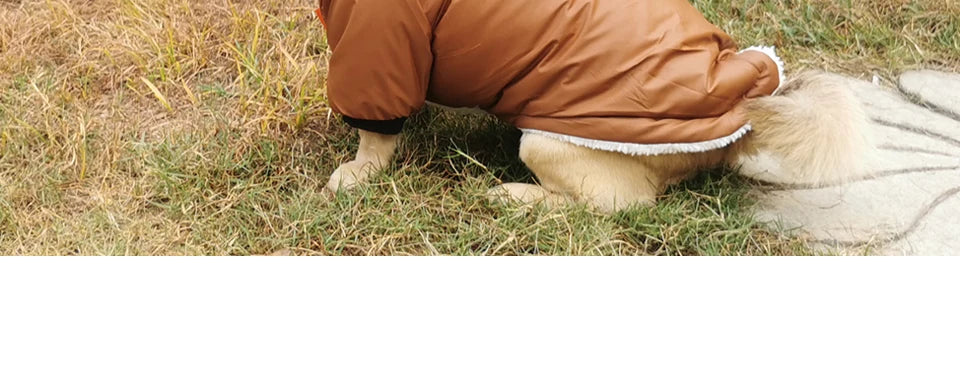 Winter Pet Dog Clothes Warm For Small Dogs Pets Puppy Costume French Bulldog Outfit Coat Waterproof Jacket Chihuahua Clothing