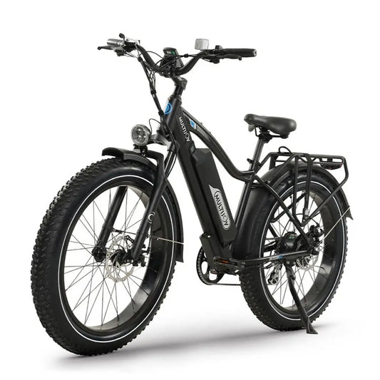 New High Quality Long Range Road Powerful City E Bike Electric Mountain Bike with 48V/20AH Battery Electric Bicycle