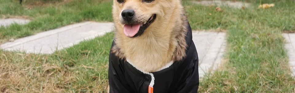 Winter Pet Dog Clothes Warm For Small Dogs Pets Puppy Costume French Bulldog Outfit Coat Waterproof Jacket Chihuahua Clothing