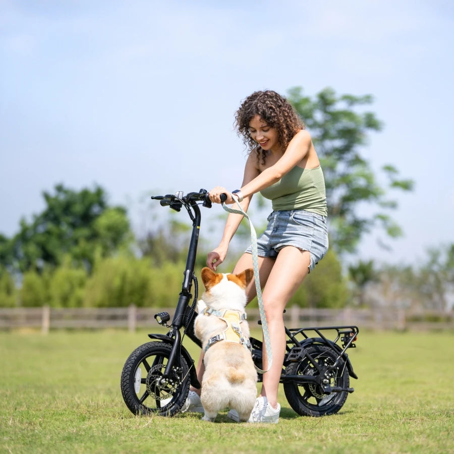 Hot 36V Electric Hybrid Bike for Adults Stylish 3-Speed Foldable Mini Dirt City Velo Electrique Lithium Battery Power for Ladies