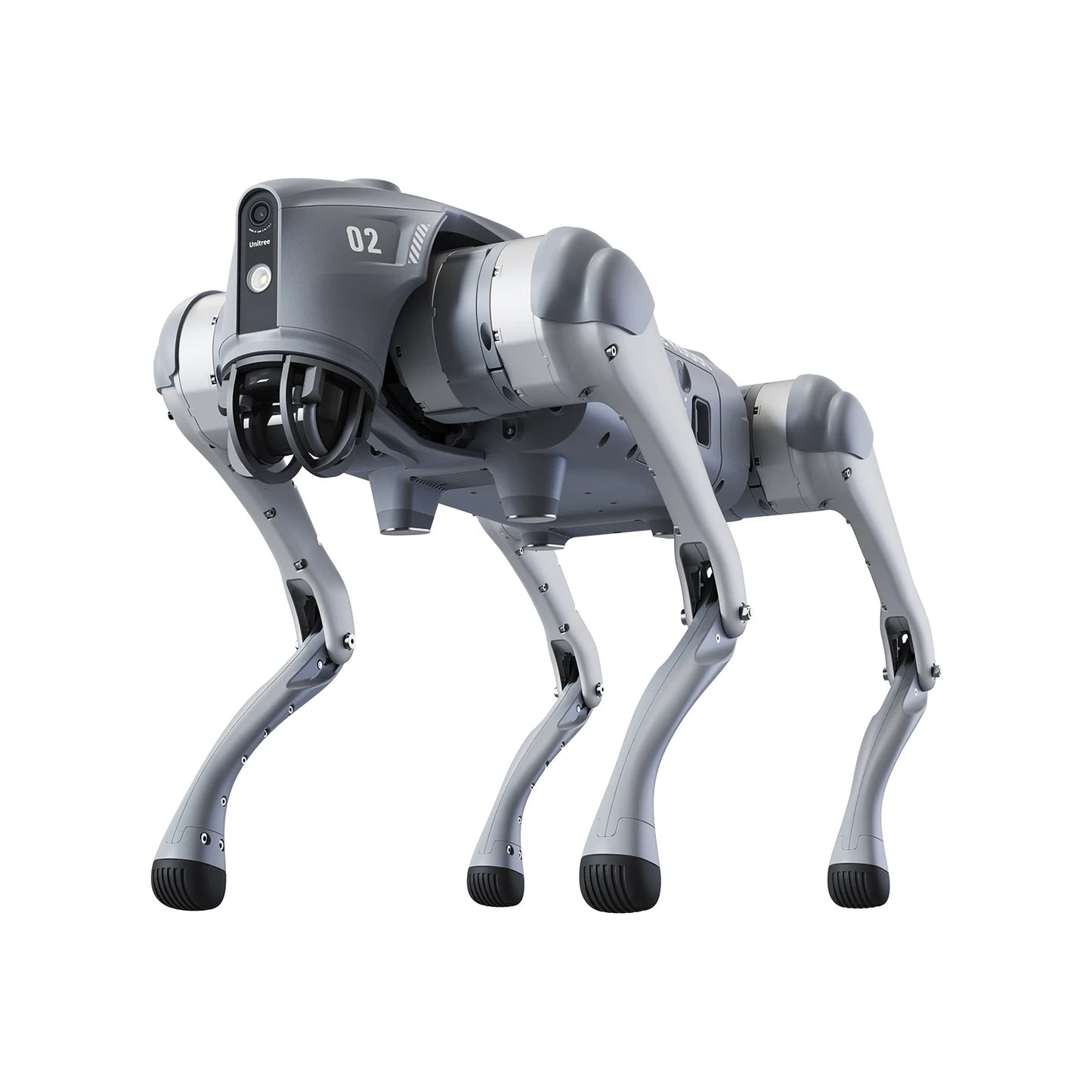 Unitree Go2 Robot Dog | Quadruped Robotics for Adults Embodied AI