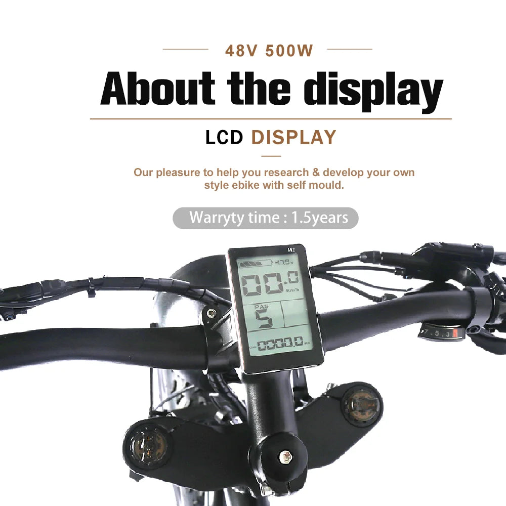 Electric Bike 48 V 750W 1000W Electric Bike 20 Inch Fat Electric Bicycle Aluminum Alloy E-bike Bike