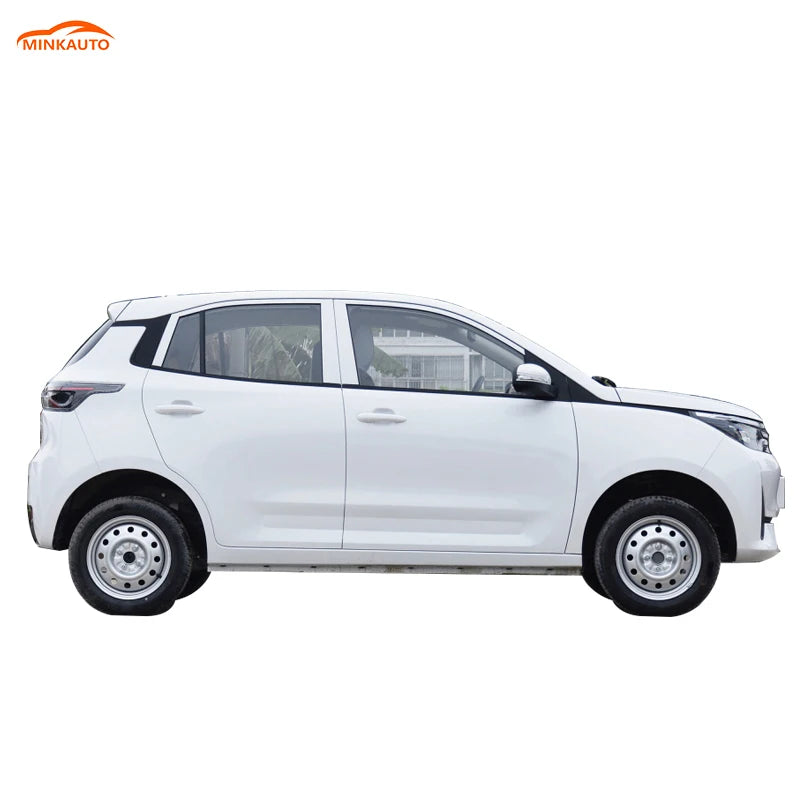 China Long Range  Large Space Adults Suv New Electric Ev Car Levdeo Letin mango for Sale